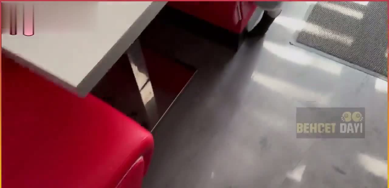 Selin Sudegül Konulu Porno Fİlmi